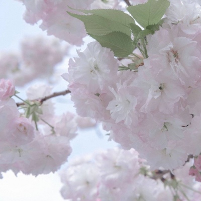 Furry插画构图解析干货福瑞交流群